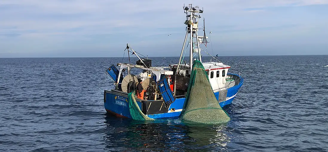 Bifångster pelagiskt fiske